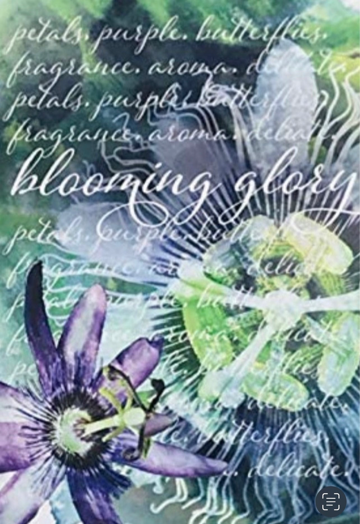 Heritage Collection - BLOOMING GLORY - Large Scented Sachet Envelope (6 Pack)