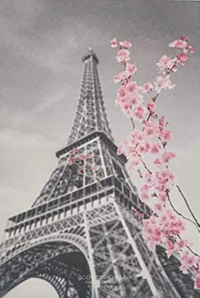 Spring-Summer Collection - PARIS BLOSSOM - Large Scented Sachet Envelope (6 Pack)